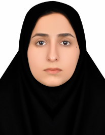 میناسادات سلیمانی رباطی