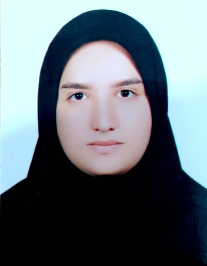 وحیده شهمرادزاده فهرجی