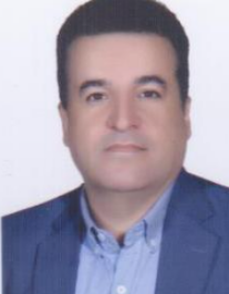 شاهرخ محمدی