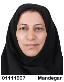 نسا میرزایی قلعه