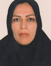 سکینه منطقی