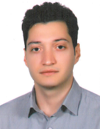 مهران میراولیائی