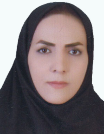 سیده مریم رفیعی