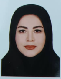 شیوا نجف پور سیبکی