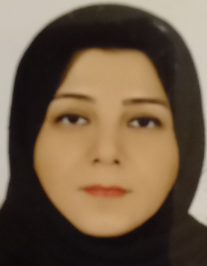 مریم محمدی منصور