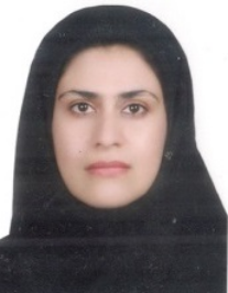 بنت الهدی نورمحمدی