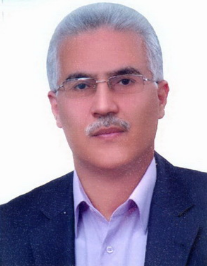 حسن پورین محمد