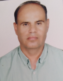 علی محمدی