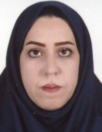 اکرم سلطانی سده