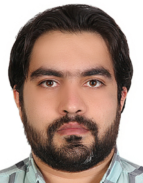 هومن میرهادی