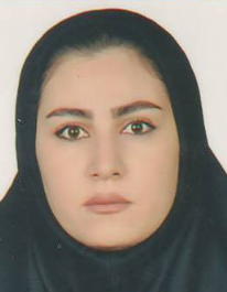 پریسا سلیمانی