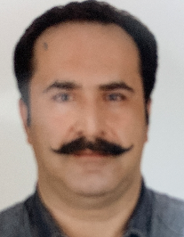 سیدرضا میرعباسی