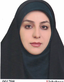 مریم تگریان