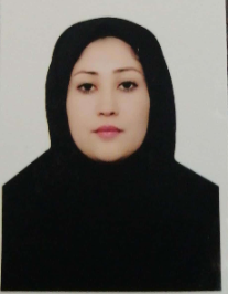 مینا زمانی