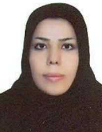 مهین صحبت لو