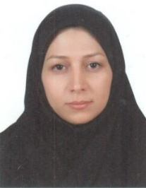 سیده مریم محمودی