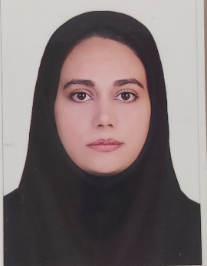 سیده مریم حسینی