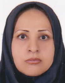 خاتون ملاحی