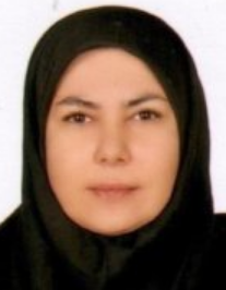 سولماز لطف اله زاده