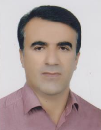 علی پورمجیدی