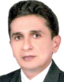 فردین پرویزی