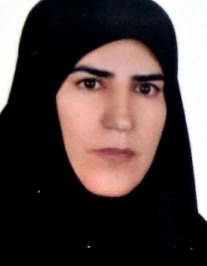 سیده فرزانه بابائی محمدی