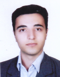 سعید تقی زاده حمزیانی