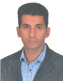 رضا ملاعلی