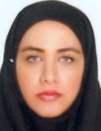 مژینه سادات میر ارض گر