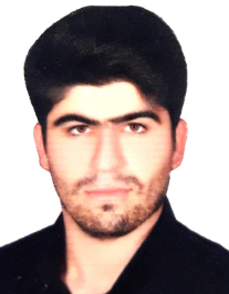 هادی سواری