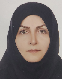 رویا ورشوی