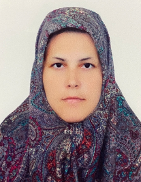 رقیه حامدی