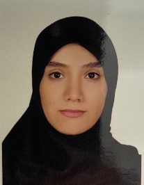 راضیه دولتی