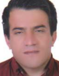 حامد حاجی فرد