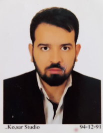 سید مصطفی حبیبی