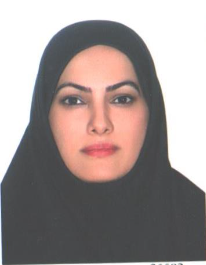 مریم وادی خیل