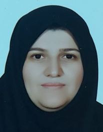 رفعت حاتمی شیرکوهی