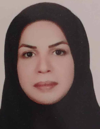 مریم افضلی