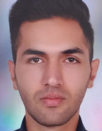 شاهین شعرتاب اصل