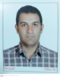 سعید مهدی نیا افرا