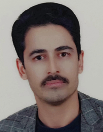 مرتضی شاهی
