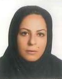 شقایق ملکی