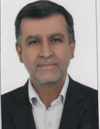 سید مجتبی اسلامی