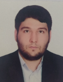 حامد محمدی نسب