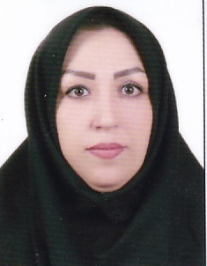 ندا حسنی