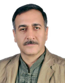 رضا اسلامی