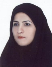 محبوبه زینلی پور احمدآبادی