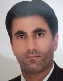 رضا گرجی