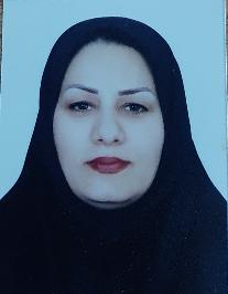 مریم هادی مصلح