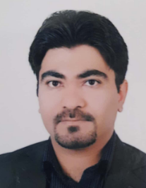 سید حامد سجادپور